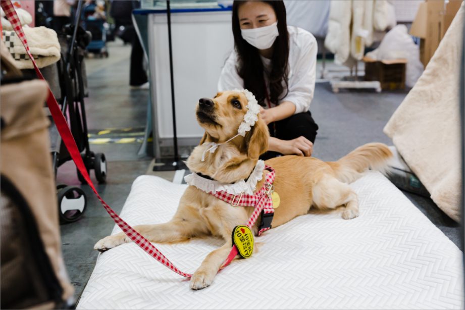 Foshan Uluslararası Evcil Hayvan Fuarı 2027 (GWPF - Grandeur World Pet Fair) – fotoğraf 2